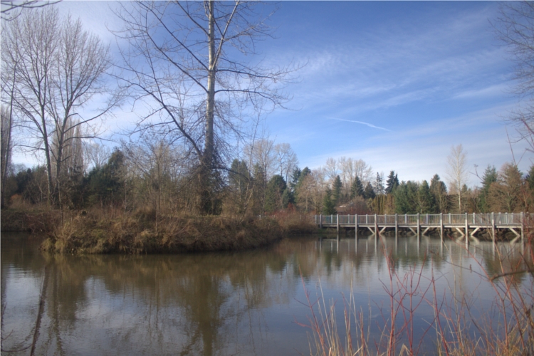 Meadowbrook Pond