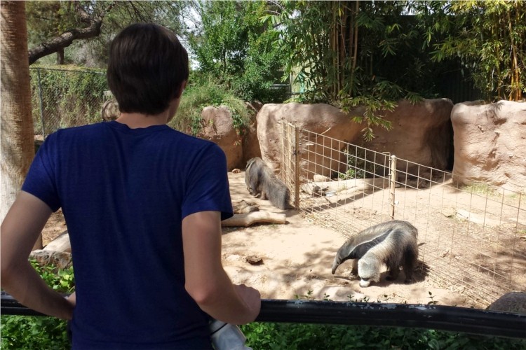 Andrew and anteater Reid Park Zoo